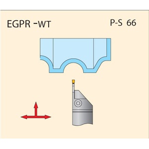 13-AYDOSA-EGPR-L-WT-2-1